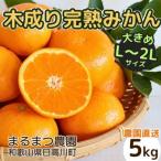 訳あり 大きめサイズ 完熟温州みかん 5kg