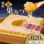 極巣みつ 620g