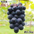 有田巨峰村の朝採れBKシードレス約1.5kg