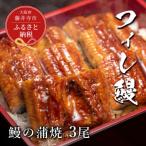 鰻 鰻の蒲焼 3尾