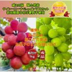 ふるさと納税 岡山市 【先行受付・2026年8月上旬から順次発送】シャインマスカット+クイーンニーナ粒だけ秀品1kg