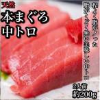 天然本鮪 中トロ 約200g