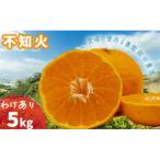 ふるさと納税 松山市 【2月下旬から順次発送】【訳あり】不知火 しらぬい 約5kg