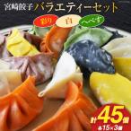 ふるさと納税 日向市 宮崎餃子 バラエティーセット 彩り・白・へべす 各15個 計45個