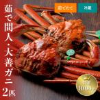 ふるさと納税 京丹後市 蟹の匠 魚政の京丹後市産 未冷凍 茹で間人ガニ大善ガニ 特選 大サイズ 2匹(年内発送)