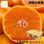 ふるさと納税 湯浅町 有田みかんの最高峰 小粒田村みかん 2S・3Sサイズ 秀品 約5kg