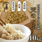 〉令和8年産 農家直送 ベルライスファーム