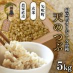 ふるさと納税 矢吹町 【令和7年産米先行受付】玄米 農家直送 ベルライスファームの天のつぶ 5kg