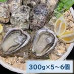 fu.... налог талант прекрасный город натуральный скала gaki примерно 300g×5~6 шт 