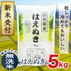 はえぬき5kg
