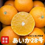 ふるさと納税 松山市 【先行予約2025年12月順次発送】 あいか28号 紅まどんなと同品種ご褒美に!贈り物に!