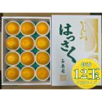 手詰め有田はっさく小玉S×12玉入