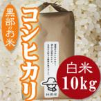 ふるさと納税 黒部市 令和7年産コシヒカリ一等米10kg 精米