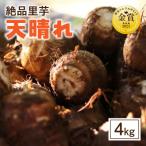 絶品里芋 ~天晴れ~ 4kg