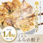 ふるさと納税 富良野市 【皮から餡まで富良野産】 手包みふらの餃子 内容量1.4kg 8個入×4パック