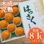 木成完熟 紅はっさく 特秀 L 8玉