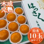 木成完熟 紅はっさく 特秀M×10玉入 化粧箱