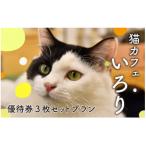 猫カフェいろり ご利用優待券 1時間分 ×3枚セット