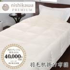羽毛肌掛ふとんNP7051ポーリッシュホワイトグース90%