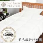 羽毛肌掛けふとんNP7053ポーリッシュホワイトグース95%0.3k…