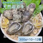 fu.... налог талант прекрасный город натуральный скала gaki примерно 300g×10~12 шт 