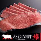 ももスライス 500g