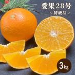 特級品 愛果28号 約3kg