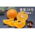 特級品 愛果28号 約4.5kg