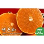 せとか B品 2.5kg