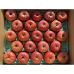 ふるさと納税 中野市 シャキシャキ!小玉 食べきりサイズ!完熟サンふじ 約5kg 信州りんご