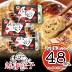 ふるさと納税 富山県 氷見牛入り越中餃子 3パック(48個入り)