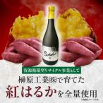 本格焼酎 SANDEEL 1本