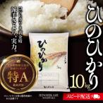 令和7年産 白米 10kg