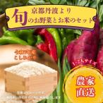 朝採れお任せ季節の京野菜&amp;お米2キロセット~農家直送~
