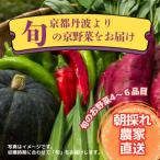 朝採れお任せ季節の京野菜4~6種類セット~農家直送~