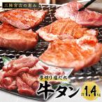 ふるさと納税 宮古市 宮古の厚切り塩だれ牛タン 1.4kg(200g×7p)