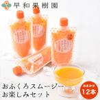 おふくろスムージー お楽しみセット12本入