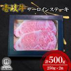 サーロインステーキ500g 250g×2枚