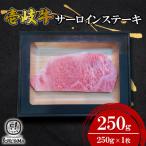 サーロインステーキ250g