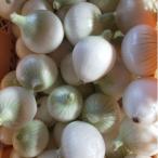 fu.... налог date город белый лук репчатый 4kg Hokkaido date производство 