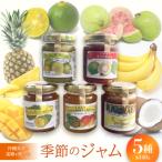 産フルーツ使用 季節の手づくりジャム 5種セット