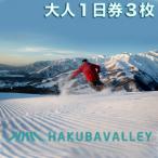 HAKUBA VALLEY 10 スキー場共通リフト券