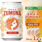 ショッピングふるさと納税 ビール ふるさと納税 遠野市 クラフトビール 遠野麦酒ZUMONA HAZY IPA 350ml 12缶セット 遠野産ホップ使用
