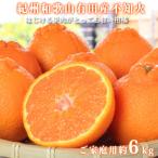 紀州有田産不知火 しらぬひ 6kg