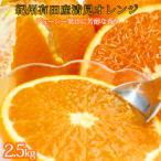とにかくジューシー清見オレンジ 約2.5kg