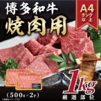 ふるさと納税 大牟田市 【A4〜A5】博多和牛焼肉用 1kg(500g×2p)(大牟田市)