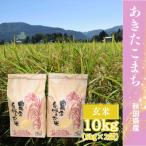 ふるさと納税 大仙市 令和6年産 秋田県産あきたこまち 玄米5kg×2袋