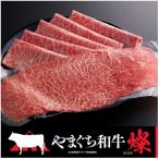 ももスライス 800g