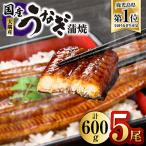 ふるさと納税 鹿屋市 【人気返礼品数量限定復活!】鹿児島県大隅産うなぎ蒲焼5尾(計600g)2725