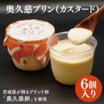 奥久慈プリン カスタード 6個入り
